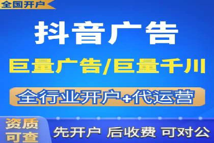 竞价广告策略案例分析