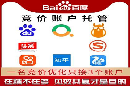 搜索引擎营销（SEM）托管服务在某企业的成功应用